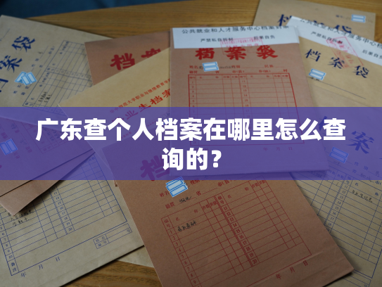 广东查个人档案在哪里怎么查询的？