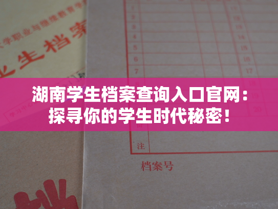 湖南学生档案查询入口官网：探寻你的学生时代秘密！