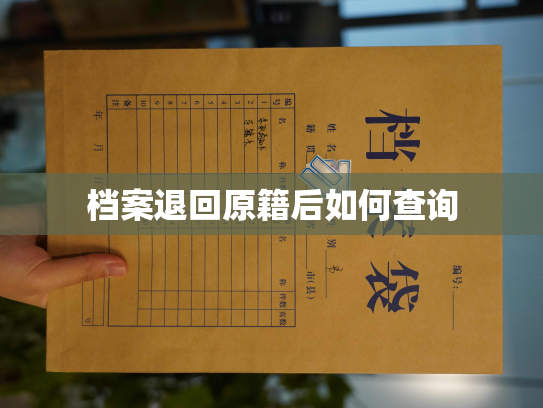 档案退回原籍后如何查询