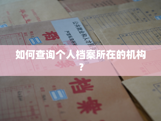 如何查询个人档案所在的机构？