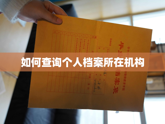 如何查询个人档案所在机构