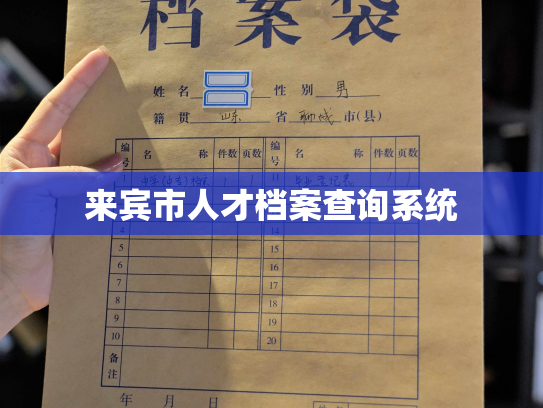 来宾市人才档案查询系统