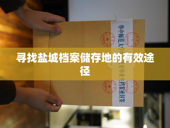 寻找盐城档案储存地的有效途径