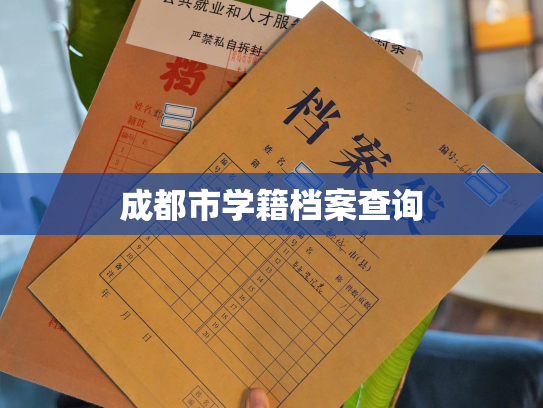 成都市学籍档案查询