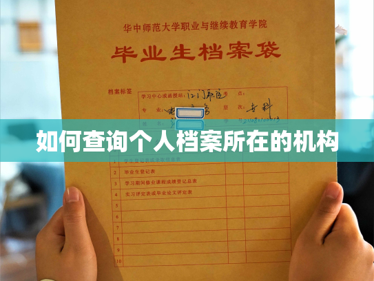 如何查询个人档案所在的机构