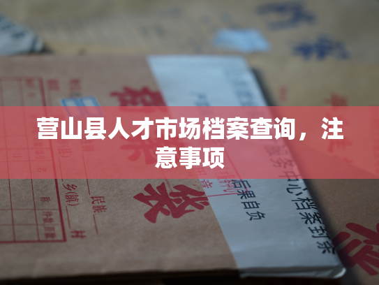 营山县人才市场档案查询，注意事项