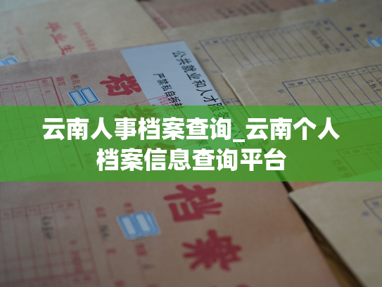 云南人事档案查询_云南个人档案信息查询平台