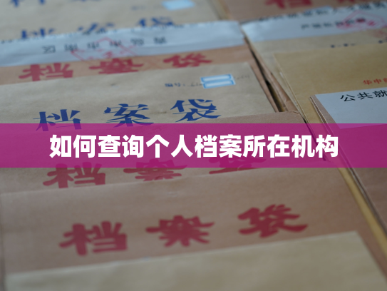 如何查询个人档案所在机构