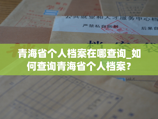 青海省个人档案在哪查询_如何查询青海省个人档案？