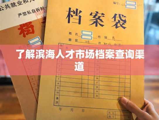 了解滨海人才市场档案查询渠道