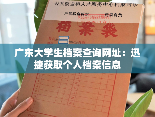 广东大学生档案查询网址：迅捷获取个人档案信息