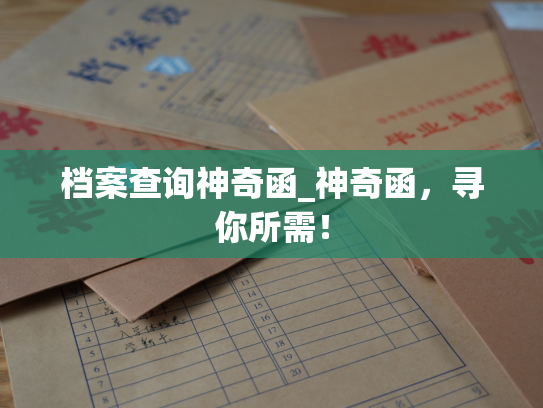 档案查询神奇函_神奇函，寻你所需！