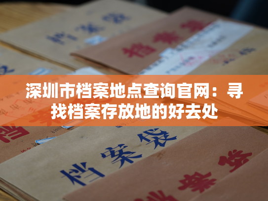 深圳市档案地点查询官网：寻找档案存放地的好去处