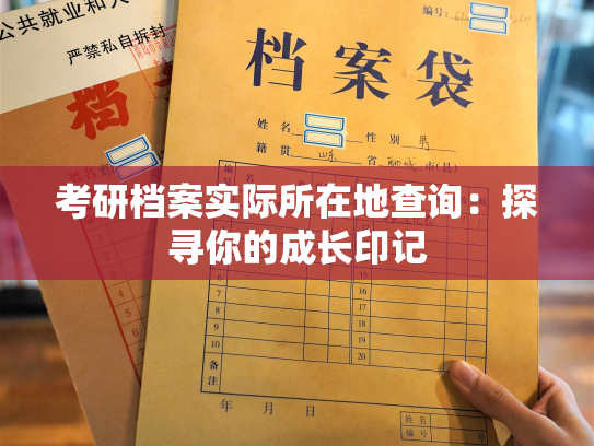 考研档案实际所在地查询：探寻你的成长印记