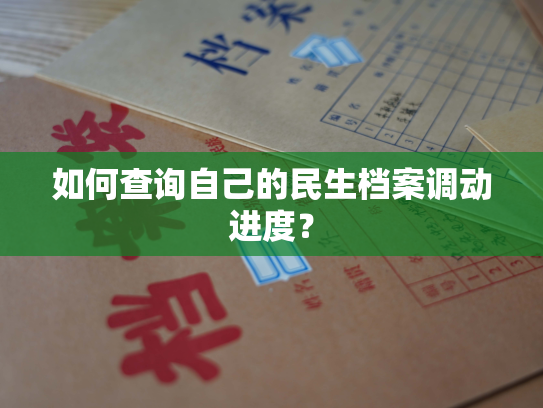 如何查询自己的民生档案调动进度？