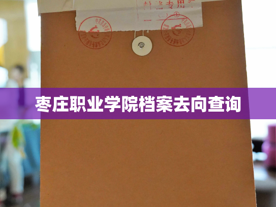 枣庄职业学院档案去向查询