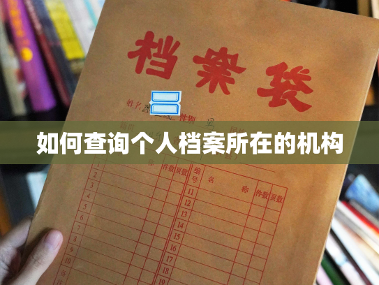 如何查询个人档案所在的机构