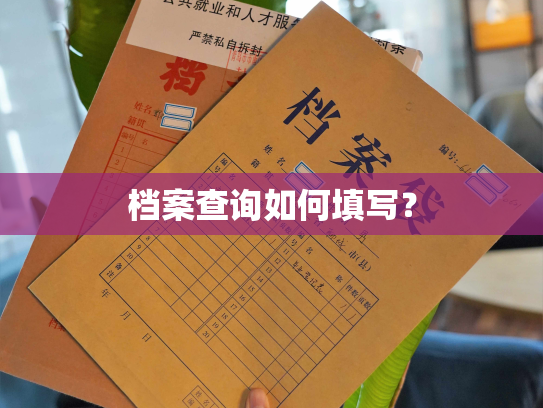 档案查询如何填写？