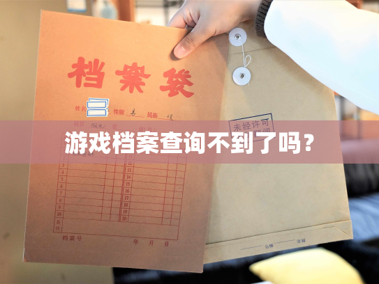 游戏档案查询不到了吗？