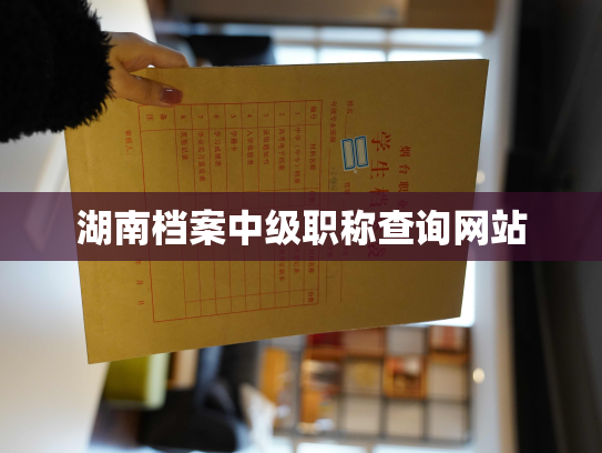 湖南档案中级职称查询网站
