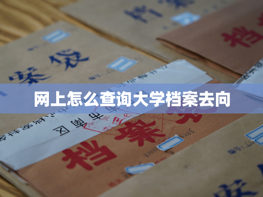 网上怎么查询大学档案去向