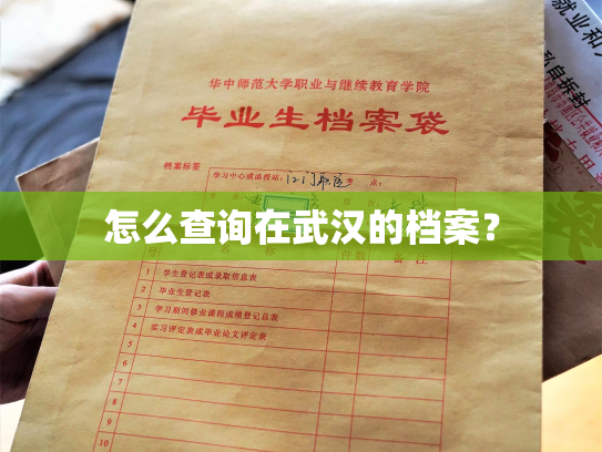 怎么查询在武汉的档案？