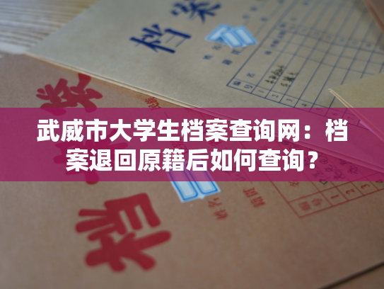 武威市大学生档案查询网：档案退回原籍后如何查询？