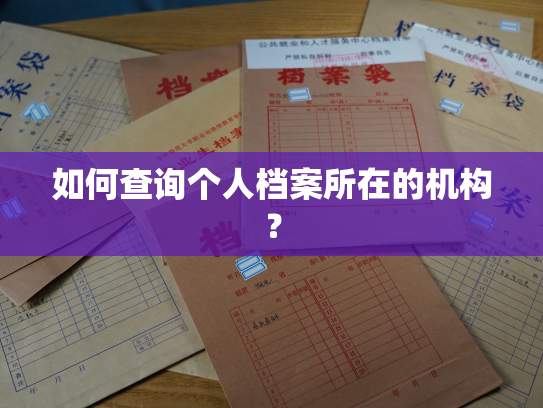 如何查询个人档案所在的机构？