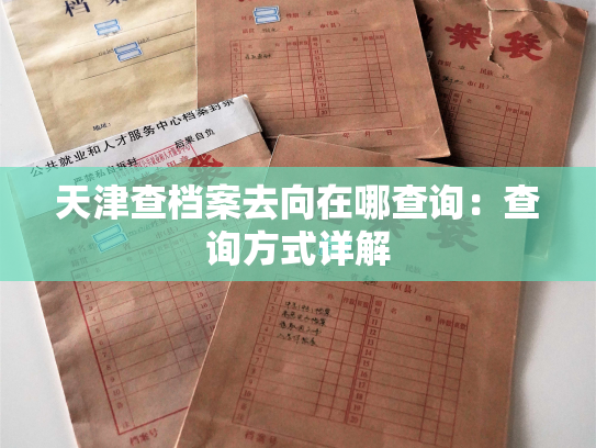 天津查档案去向在哪查询：查询方式详解
