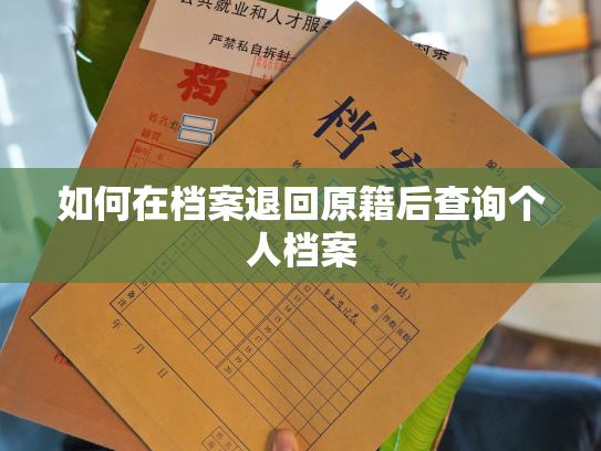 如何在档案退回原籍后查询个人档案