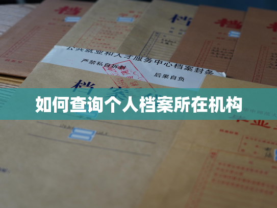 如何查询个人档案所在机构