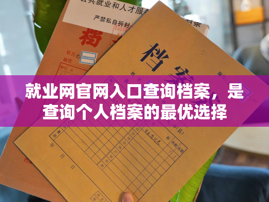 就业网官网入口查询档案，是查询个人档案的最优选择