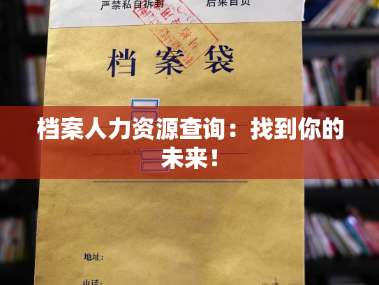 档案人力资源查询：找到你的未来！