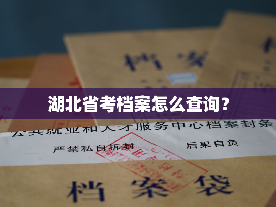 湖北省考档案怎么查询？