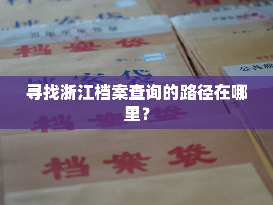 寻找浙江档案查询的路径在哪里？