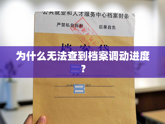 为什么无法查到档案调动进度？