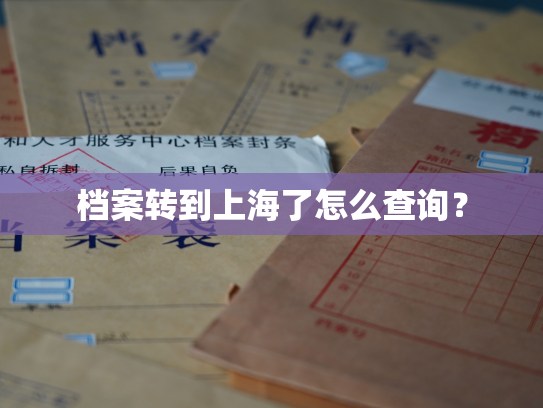 档案转到上海了怎么查询？
