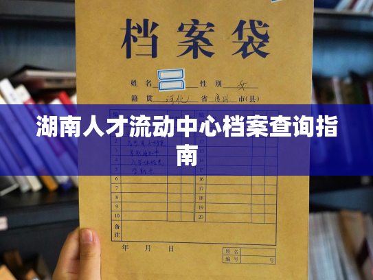 湖南人才流动中心档案查询指南