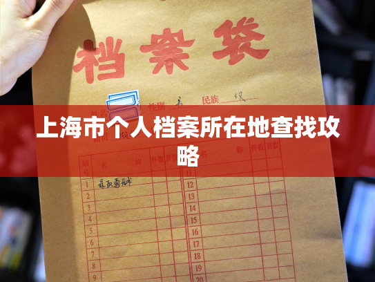 上海市个人档案所在地查找攻略