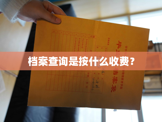 档案查询是按什么收费？