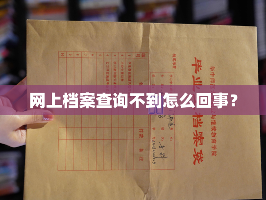网上档案查询不到怎么回事？