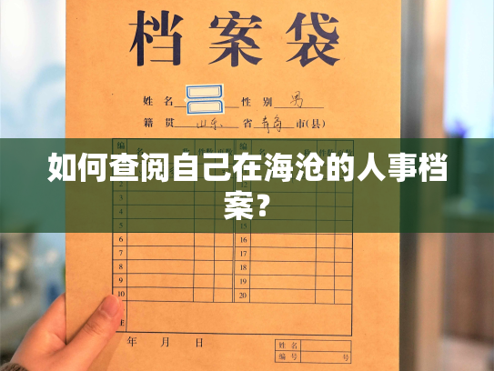 如何查阅自己在海沧的人事档案？