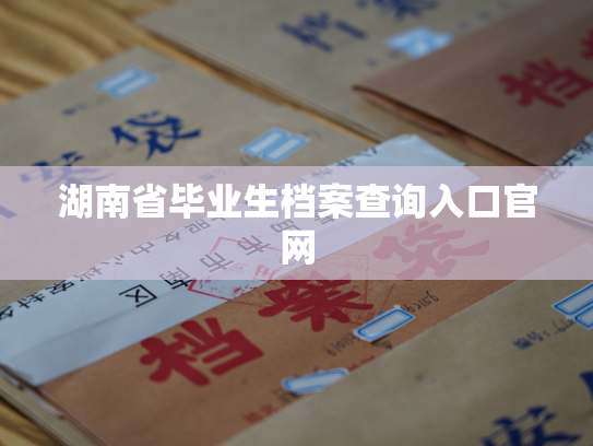 湖南省毕业生档案查询入口官网