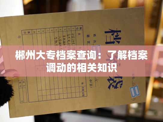郴州大专档案查询：了解档案调动的相关知识