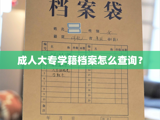 成人大专学籍档案怎么查询？