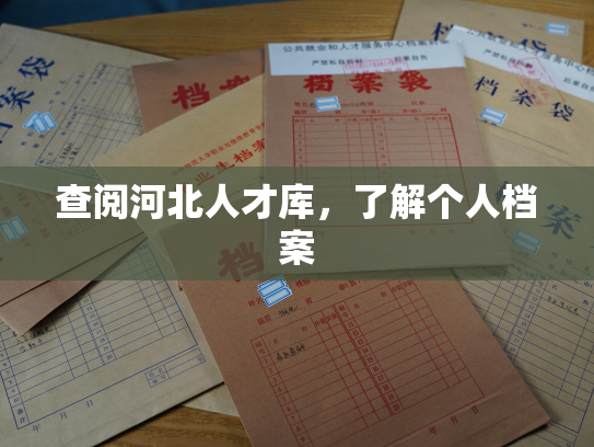 查阅河北人才库，了解个人档案