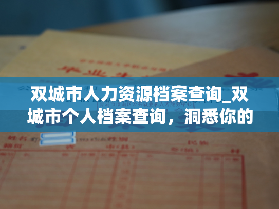 双城市人力资源档案查询_双城市个人档案查询，洞悉你的工作历程。