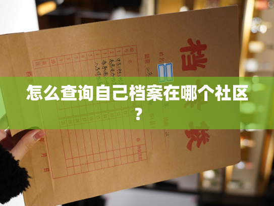 怎么查询自己档案在哪个社区？