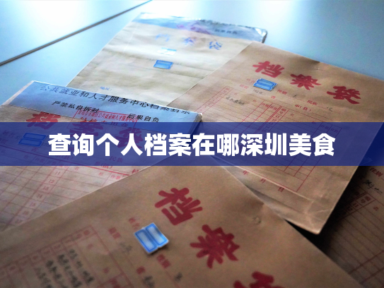 查询个人档案在哪深圳美食