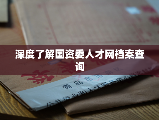 深度了解国资委人才网档案查询